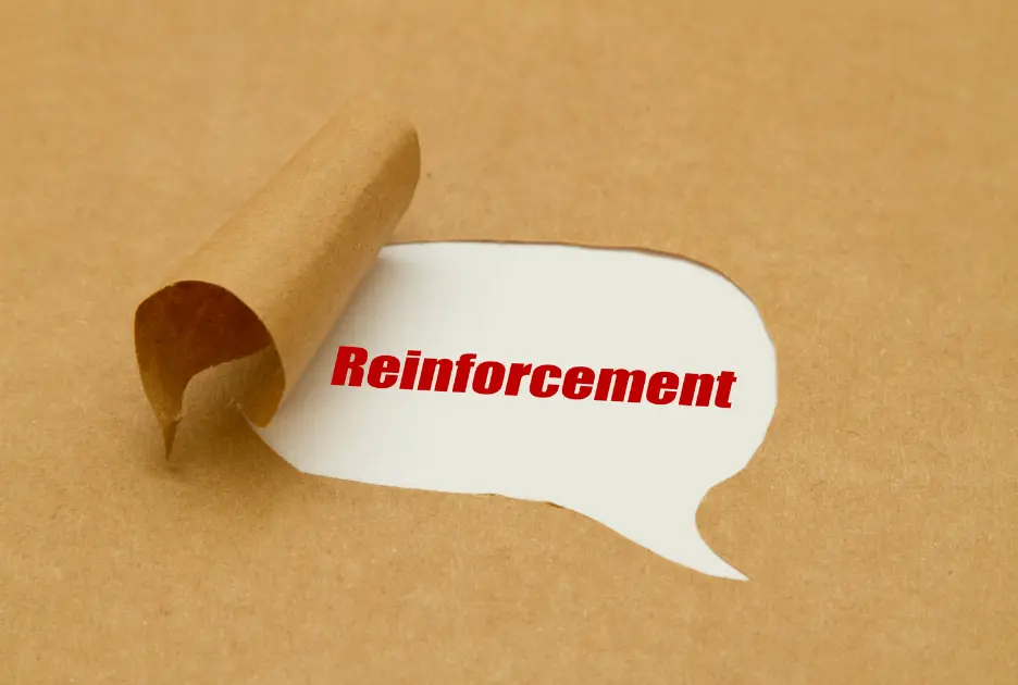 Implementing Behavior Intervention Plans